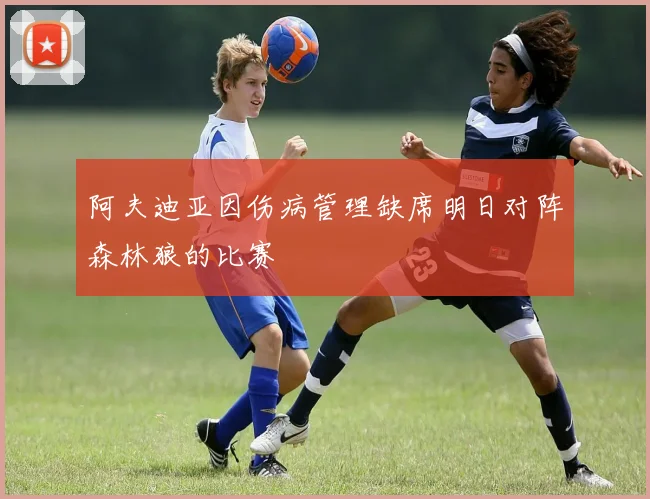 阿夫迪亚因伤病管理缺席明日对阵森林狼的比赛