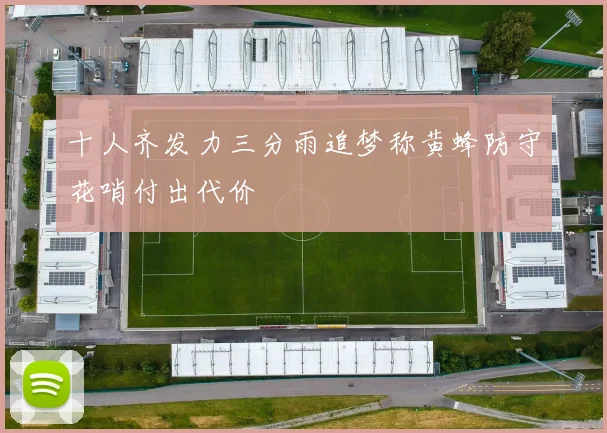 十人齐发力三分雨追梦称黄蜂防守花哨付出代价