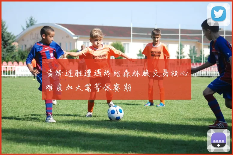 黄蜂连胜遭遇终结森林狼交易核心难度加大需等休赛期