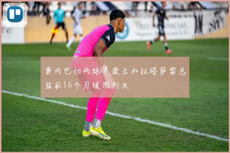 费内巴切两球员袭击加拉塔萨雷总监获16个月缓刑判决