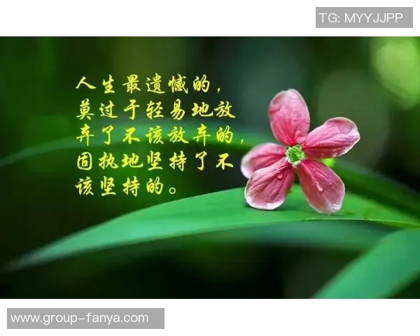 生活琐事与心灵感悟的碎碎念合集三十篇分享